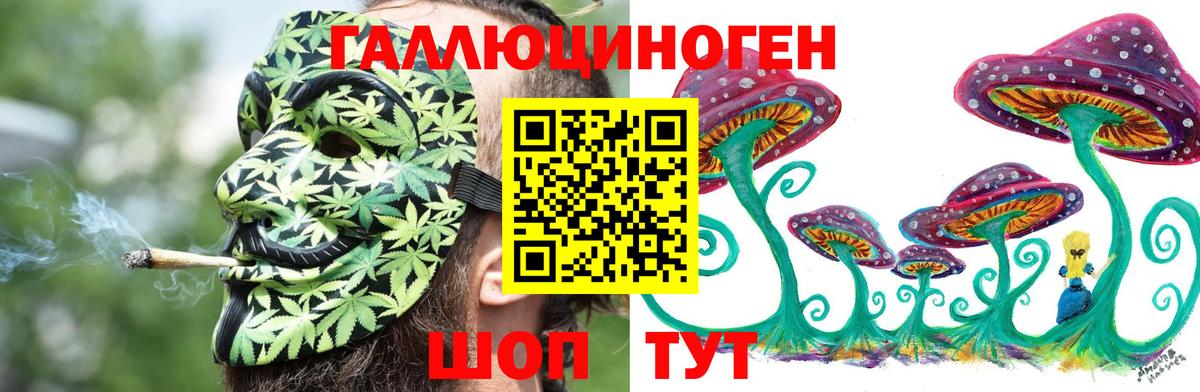 Галлюциногенные грибы MAGIC MUSHROOMS  Вход с VPN  сколько стоит  Ачхой-Мартан 